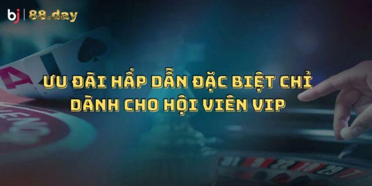 Ưu đãi hấp dẫn đặc biệt chỉ dành cho hội viên VIP
